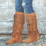 High Wedge Fringe Boots